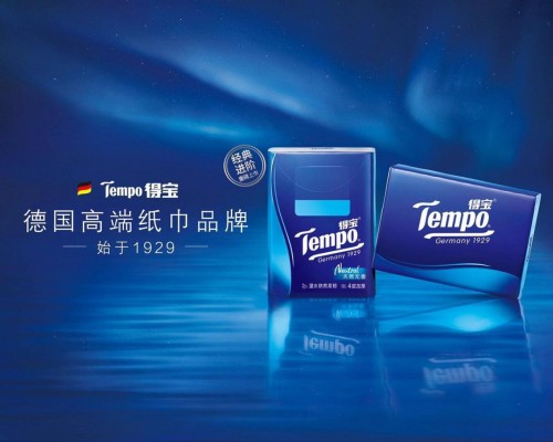 Tempo得宝2020经典进阶